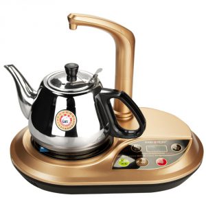 Gong Fu Tea Ceremony Style Hot Water Kettle