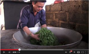 Pan frying green tea leaves to halt the oxidization process